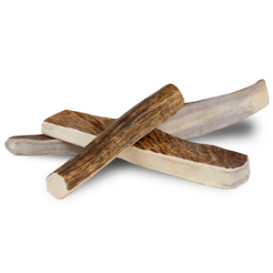 Primal Stag Antler Sm Chew-antler : 4-5"