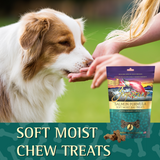 Zignature Soft Moist Dog Treats Salmon Formula