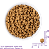 Wellness Complete Health Natural Puppy Chicken, Oatmeal and Salmon Meal Recipe Dry Dog Food